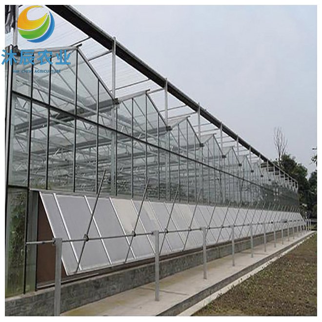 Multifunction Multi-span Venlo Glass Greenhouse For Flowers
