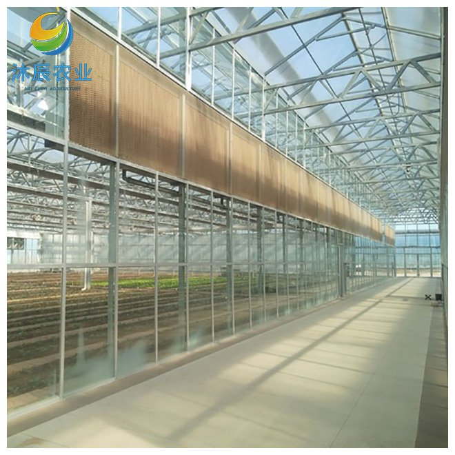 Multifunction Multi-span Venlo Glass Greenhouse For Flowers