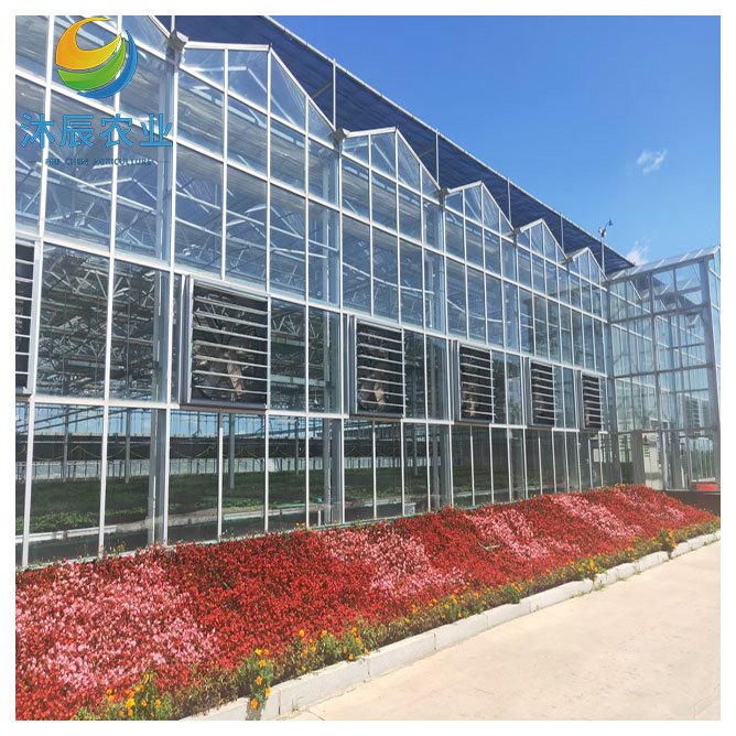 Multifunction Multi-span Venlo Glass Greenhouse For Flowers