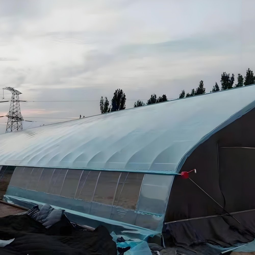 New Special Design Practical Agricultural Polytunnel Greenhouse For Outdoors Film