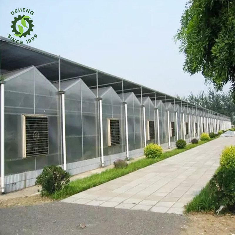High Quality Durable Using Various Complete Agricultural Solar Panel Greenhouse Agricultural Greenhouses For Vegetables Growing