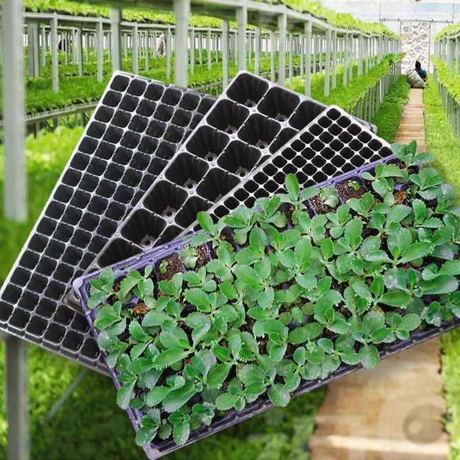 Agriculture greenhouse Seed planting Plastic nursery Tray plant growing pots Seed grow 72 128 200 Cell Seeding tray