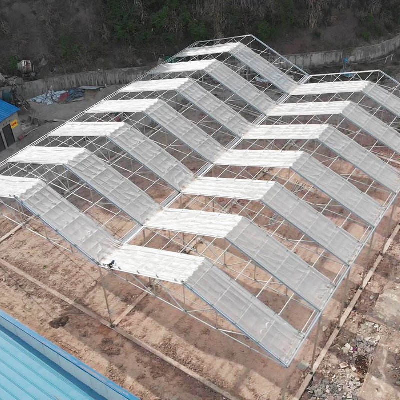 High Tunnel Retractable Automated Plastic Film Galvanized Frame Structure Tomato Greenhouse For Sale