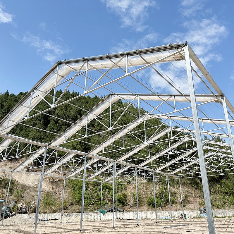 High Tunnel Retractable Automated Plastic Film Galvanized Frame Structure Tomato Greenhouse For Sale