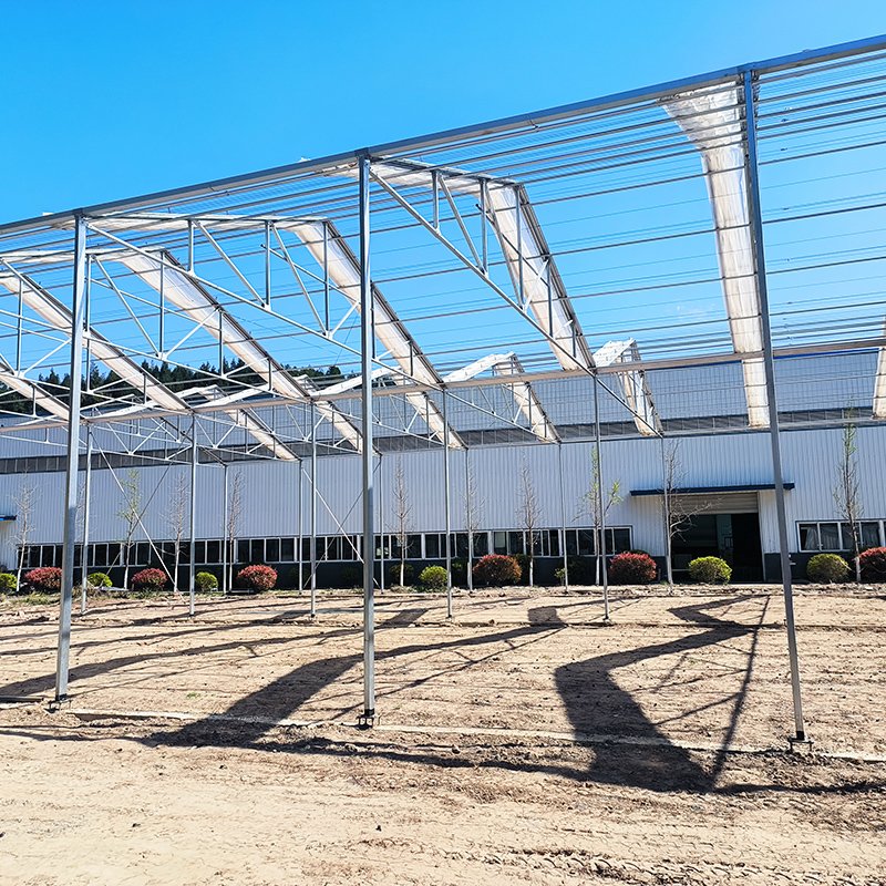 High Tunnel Retractable Automated Plastic Film Galvanized Frame Structure Tomato Greenhouse For Sale