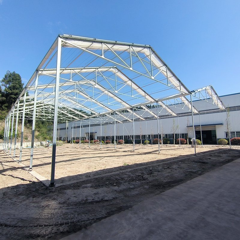 High Tunnel Retractable Automated Plastic Film Galvanized Frame Structure Tomato Greenhouse For Sale