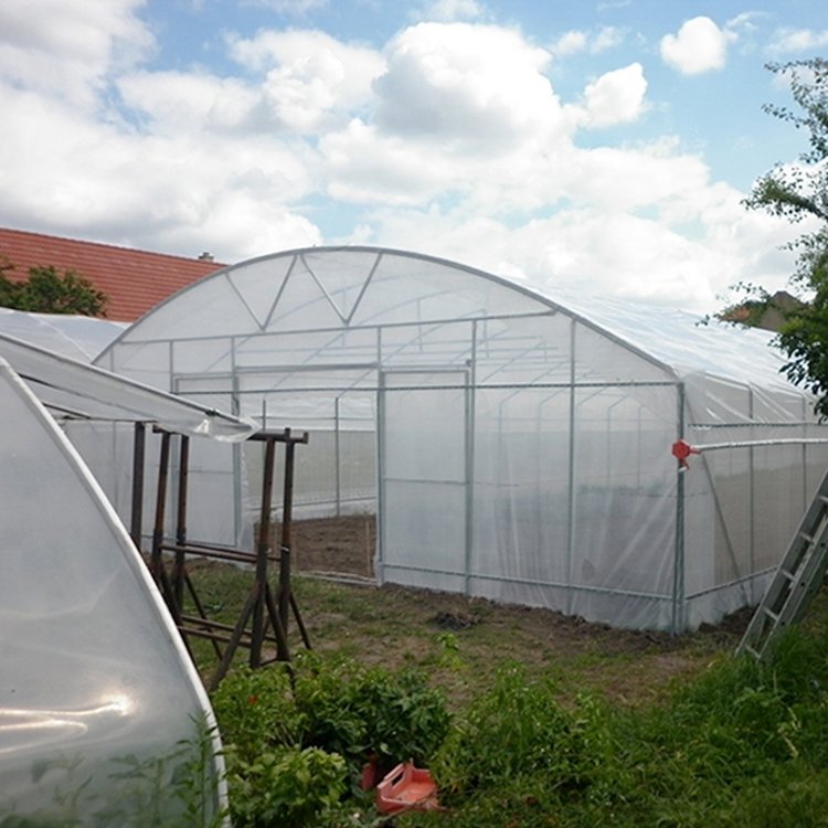 Low Cost 8x30m Agriculture Plastic Film Poly Tunnel Greenhouse Single Span Greenhouses