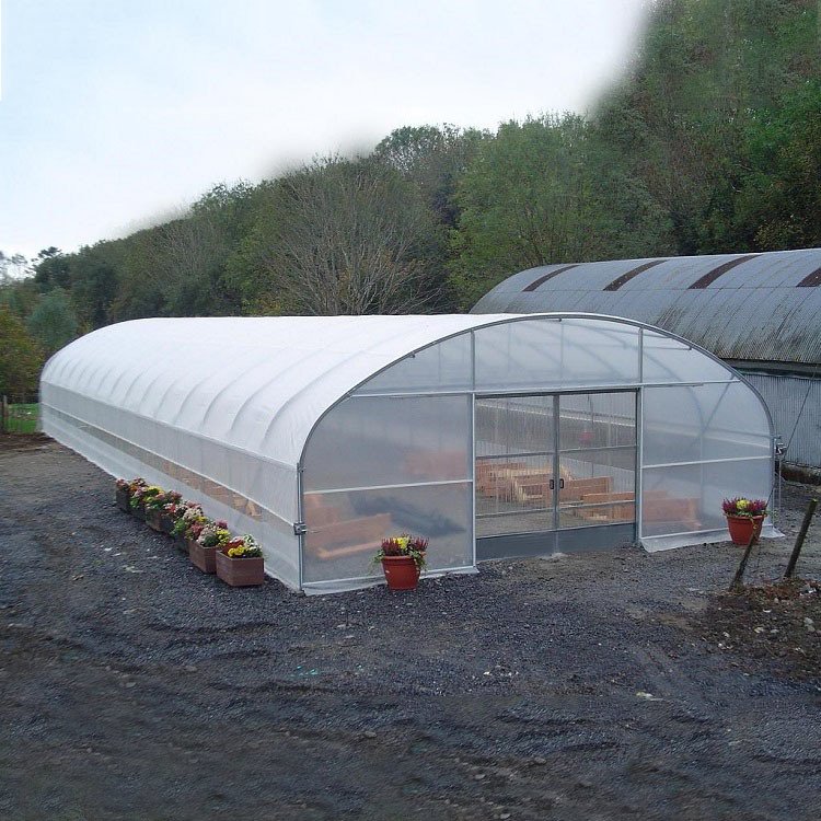 Low Cost 8x30m Agriculture Plastic Film Poly Tunnel Greenhouse Single Span Greenhouses