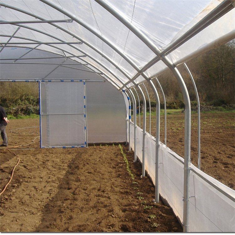 Low Cost 8x30m Agriculture Plastic Film Poly Tunnel Greenhouse Single Span Greenhouses