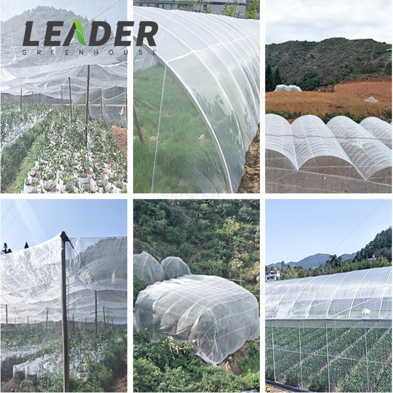 High Quality 40Mesh 65gsm HDPE White Insect Net For Agricultural Greenhouse Project Tunnel Farming Insect Proof Net