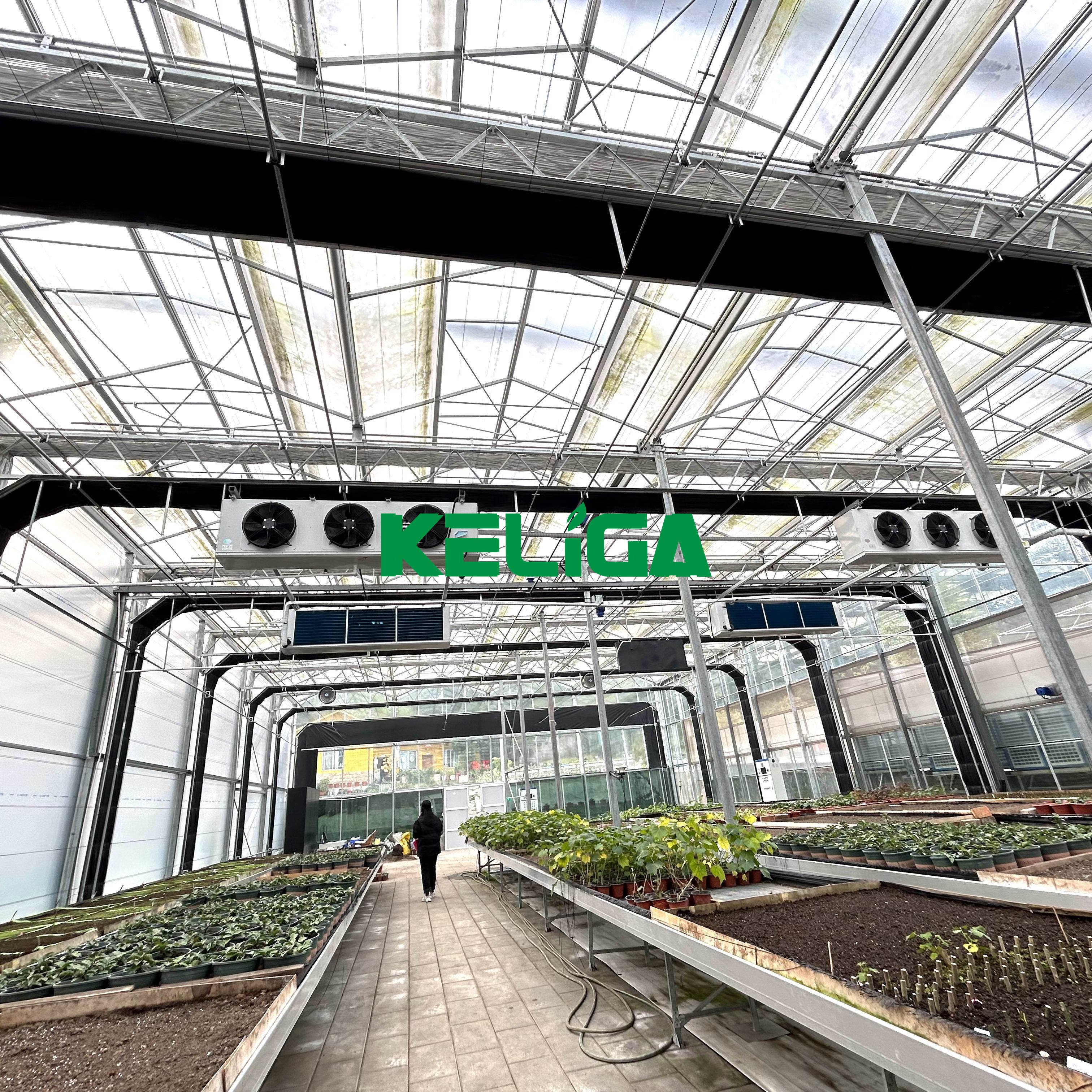 Professional Design Retractable Fully Automated Light Deprivation Green House Shade Net Blackout Cloth Greenhouse