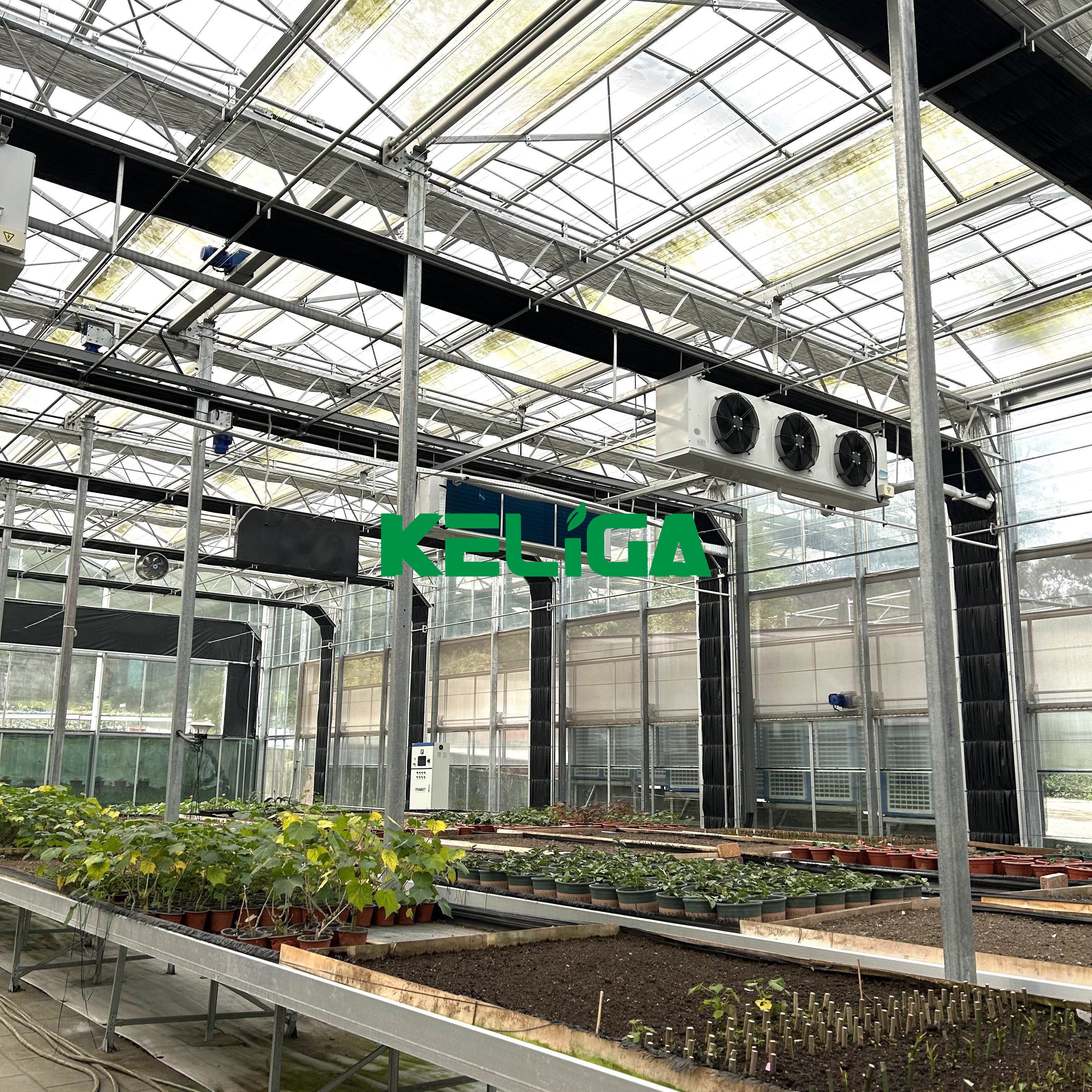 Professional Design Retractable Fully Automated Light Deprivation Green House Shade Net Blackout Cloth Greenhouse