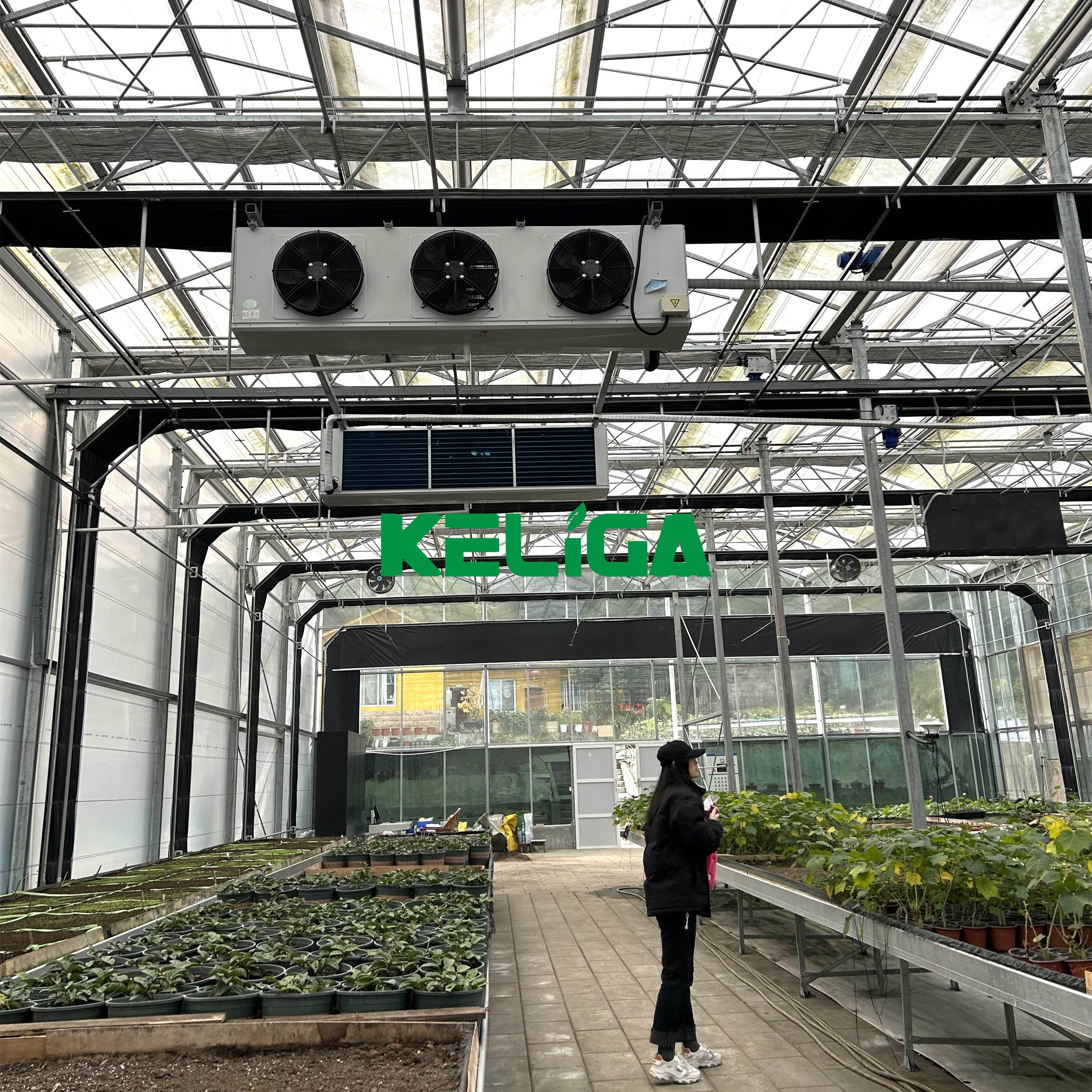 Professional Design Retractable Fully Automated Light Deprivation Green House Shade Net Blackout Cloth Greenhouse