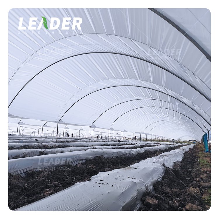 Durable uv protection agricultural poly greenhouse 150 200 250 micron light diffusion anti drop fog clear yellow pe plastic film