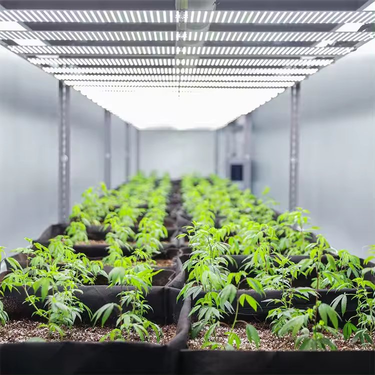 ONE-ONE agricultural greenhouse container plant farm hydroponic smart farming factory