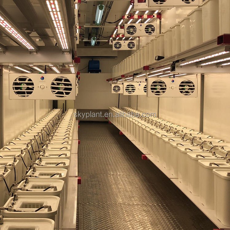 ONE-ONE agricultural greenhouse container plant farm hydroponic smart farming factory