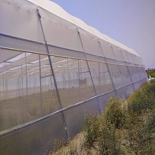 50 Mesh Insect Nettinguv anti insect net greenhouse 50 m for greenhouse