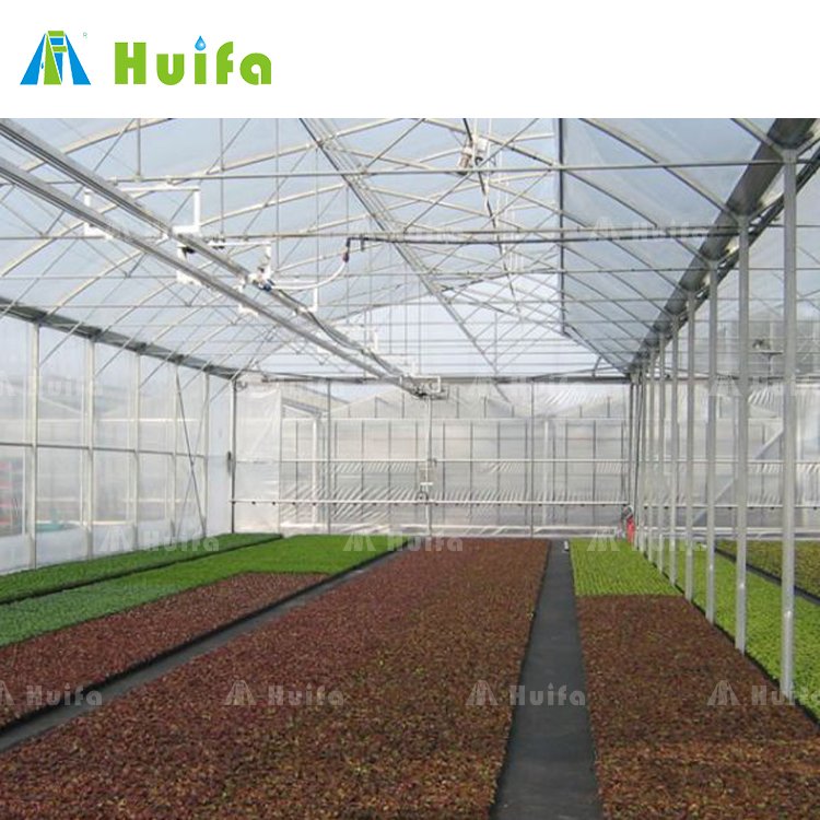 Excellent Strength Polytunnel Frame Greenhouse Complete Set House Plastic Muti-span Green PE Film Large Hot Galvanized Steel