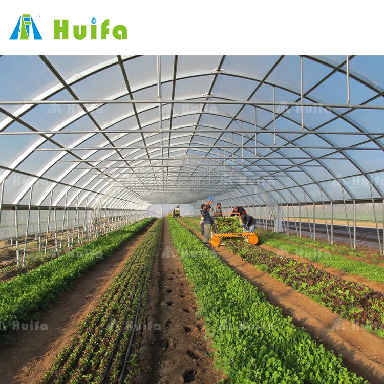 Excellent Strength Polytunnel Frame Greenhouse Complete Set House Plastic Muti-span Green PE Film Large Hot Galvanized Steel