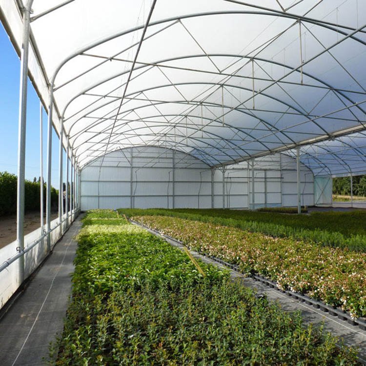 Excellent Strength Polytunnel Frame Greenhouse Complete Set House Plastic Muti-span Green PE Film Large Hot Galvanized Steel