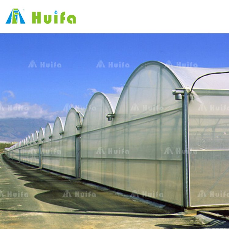 Excellent Strength Polytunnel Frame Greenhouse Complete Set House Plastic Muti-span Green PE Film Large Hot Galvanized Steel