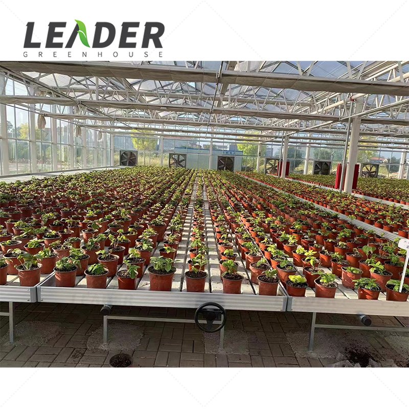 4FTx8FT Agricultural Nursery Greenhouse Rolling Bench Seedbed Grow Table With Trellis