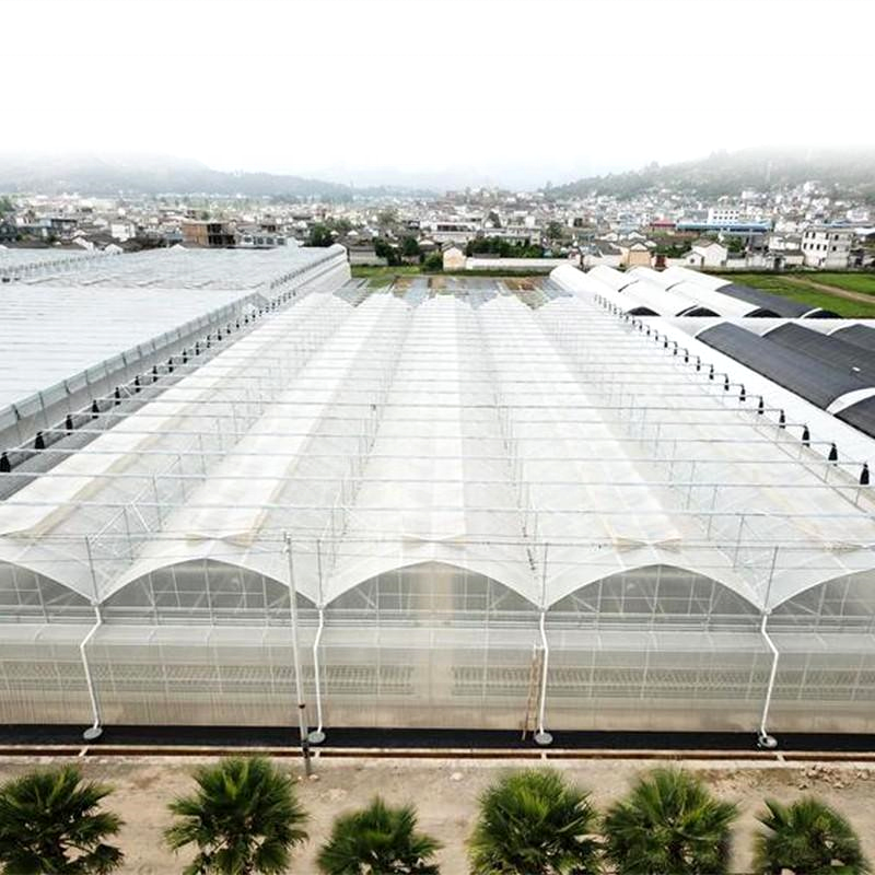 China greenhouse Plastic Film Suppliers Passive Solar greenhouse Cover Film