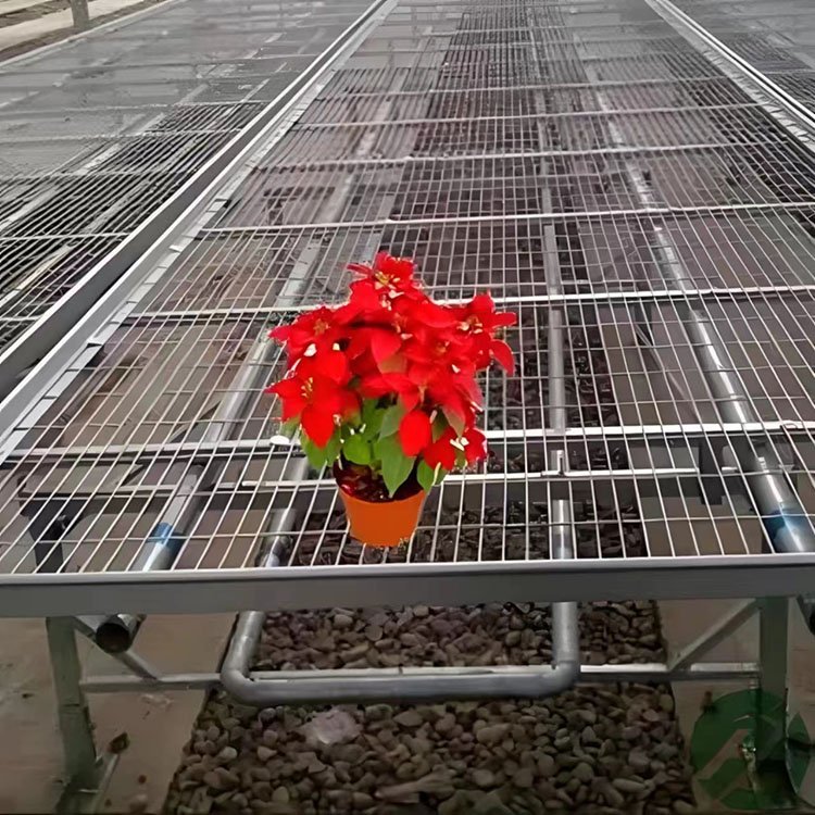 Corrosion-resistant and wear-resistant mesh nursery bed rolling table for Chinese agricultural greenhouse vegetables