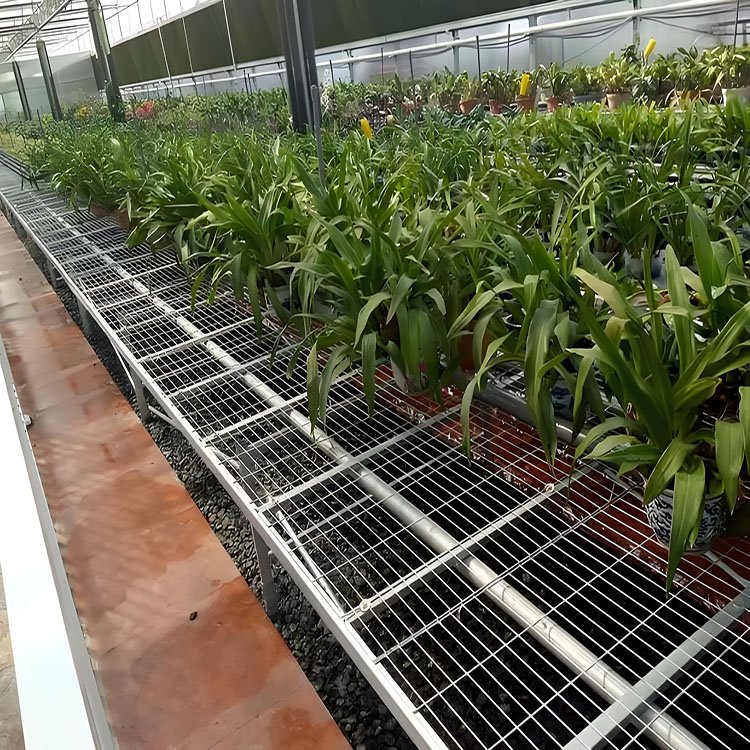 Corrosion-resistant and wear-resistant mesh nursery bed rolling table for Chinese agricultural greenhouse vegetables