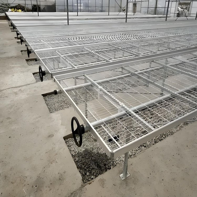 Corrosion-resistant and wear-resistant mesh nursery bed rolling table for Chinese agricultural greenhouse vegetables