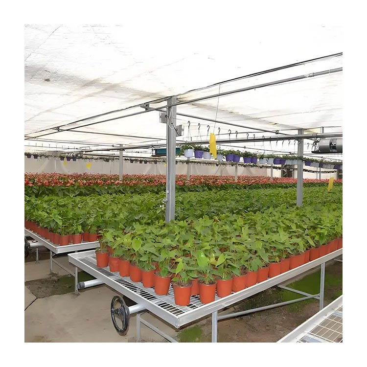Corrosion-resistant and wear-resistant mesh nursery bed rolling table for Chinese agricultural greenhouse vegetables