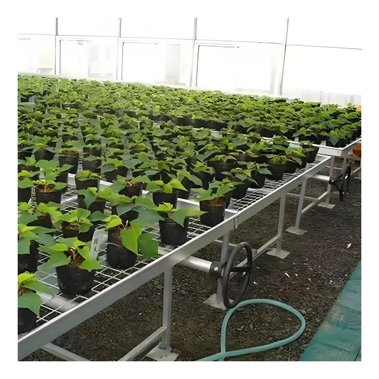 Corrosion-resistant and wear-resistant mesh nursery bed rolling table for Chinese agricultural greenhouse vegetables