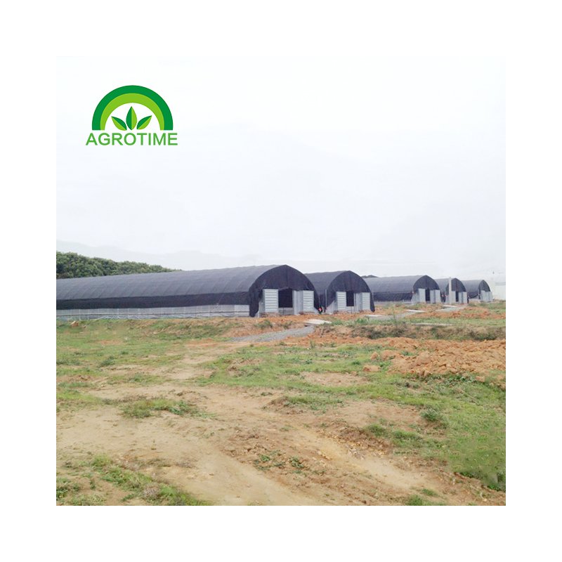 Farm Mushroom Growing Greenhouses Black Invernadero for Shade-loving Plants Used Farming Green Houses Film from CN;ZHE 20m-100m