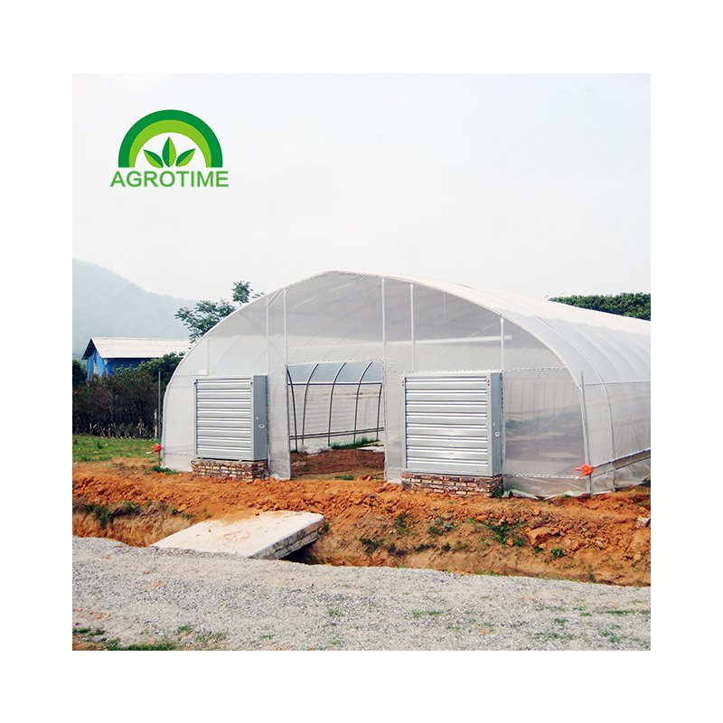 Farm Mushroom Growing Greenhouses Black Invernadero for Shade-loving Plants Used Farming Green Houses Film from CN;ZHE 20m-100m