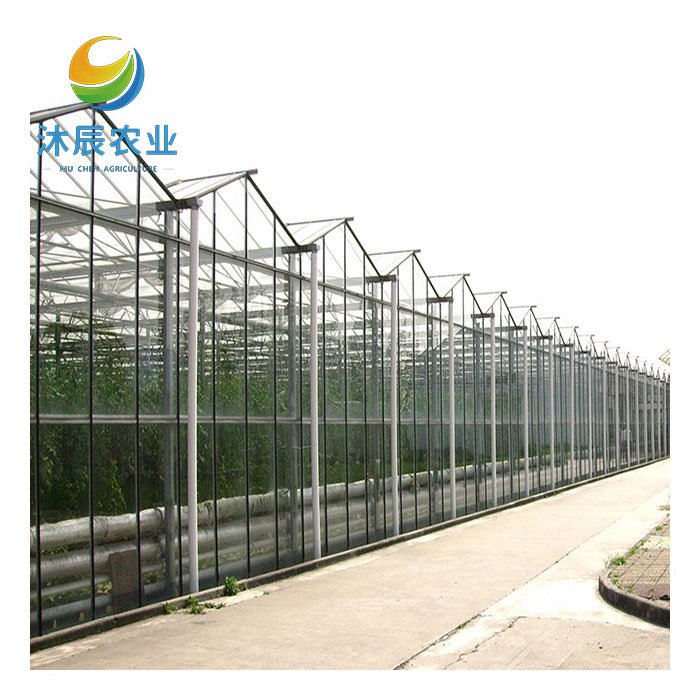 Agricultural Greenhouses Multi-span Glass Green House Designs
