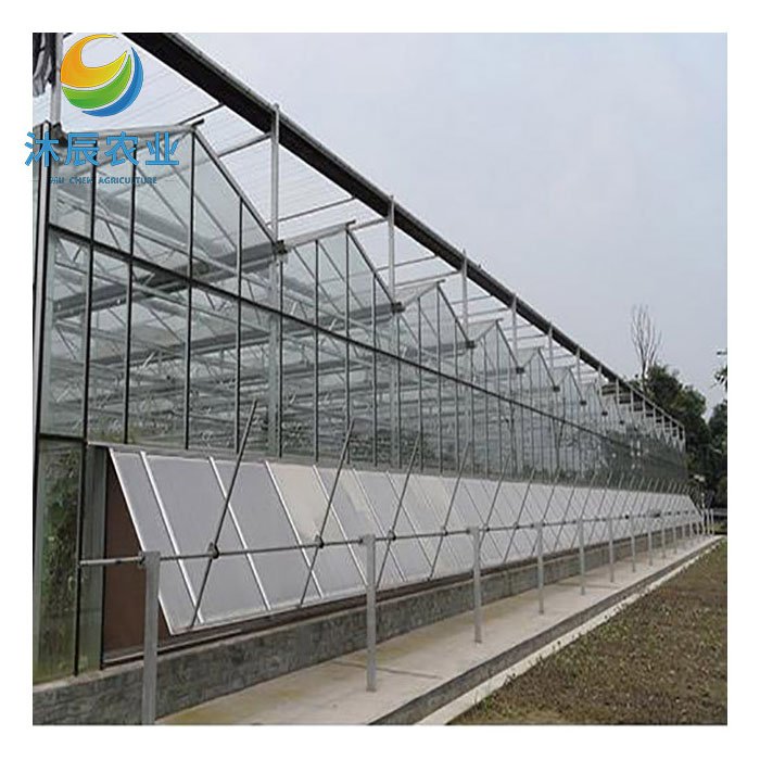 Agricultural Greenhouses Multi-span Glass Green House Designs