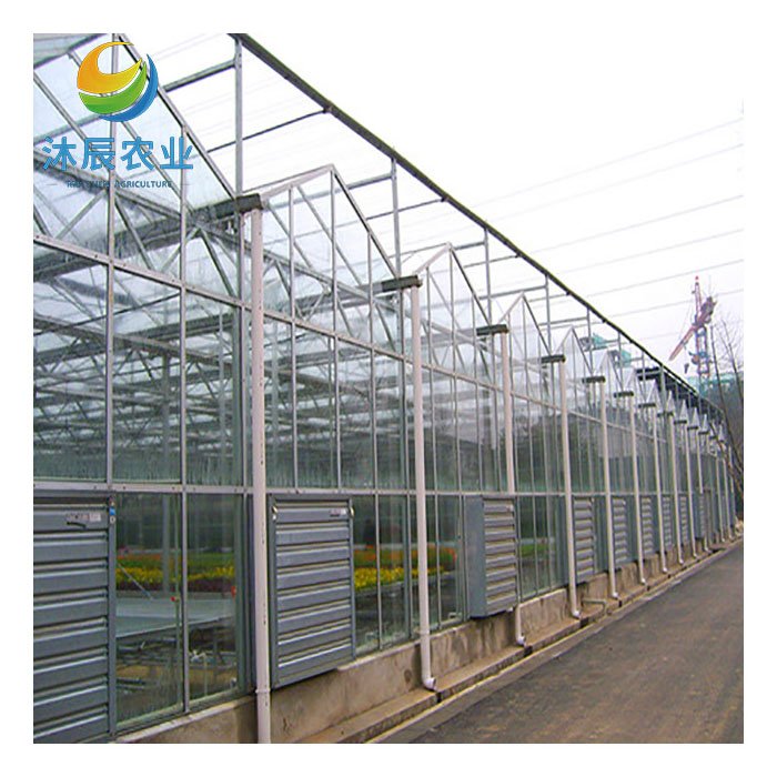 Agricultural Greenhouses Multi-span Glass Green House Designs