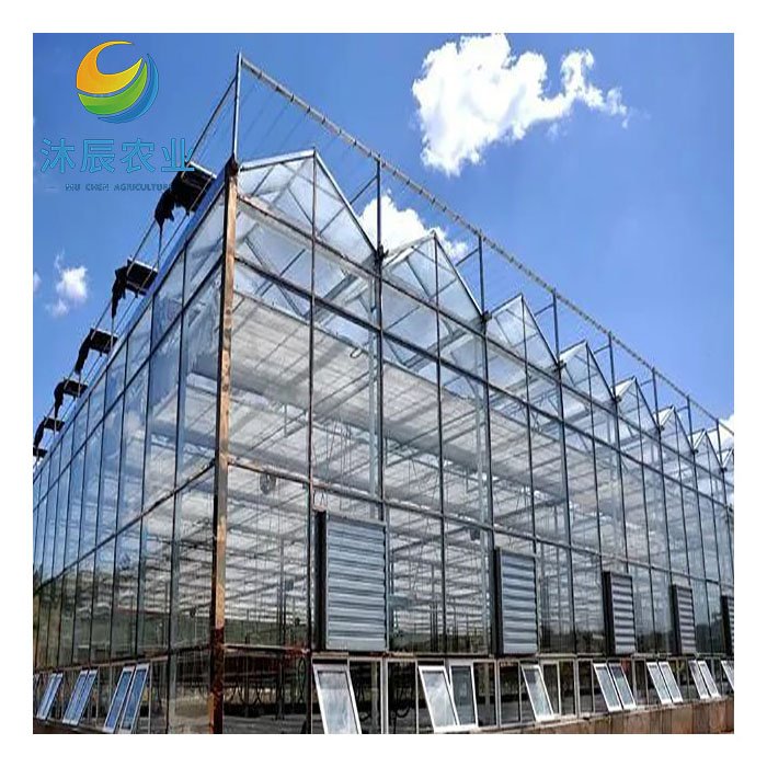 Agricultural Greenhouses Multi-span Glass Green House Designs