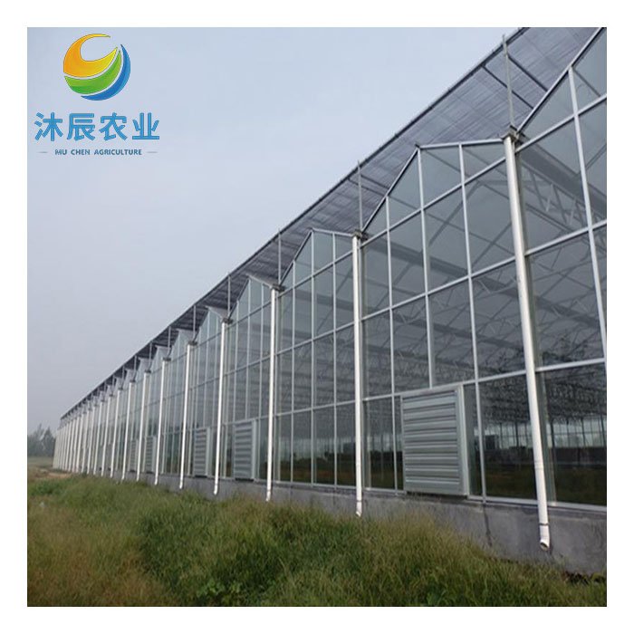 Agricultural Greenhouses Multi-span Glass Green House Designs