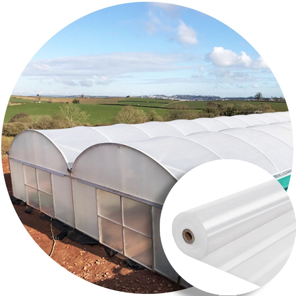 Wholesale 100-200 Micron Anti-fog UV Resistant Clear Polyethylene Agricultural Greenhouse Plastic Film
