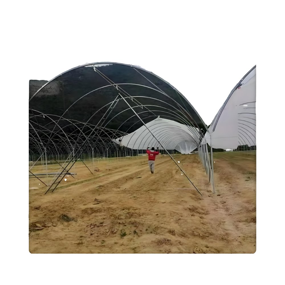 Large Agricultural Plants Greenhouse Low Cost Tunnel PE Film Steel Square Pattern Single Layer Rain Shelter Greenhouse