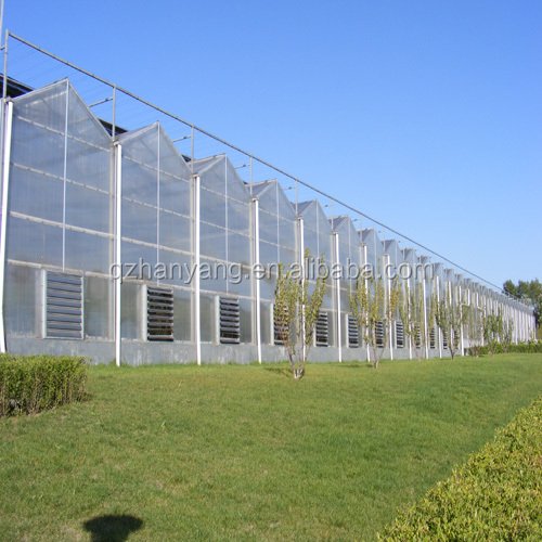 Multi-Span Agricultural Greenhouses Type and Large Size Green Houses