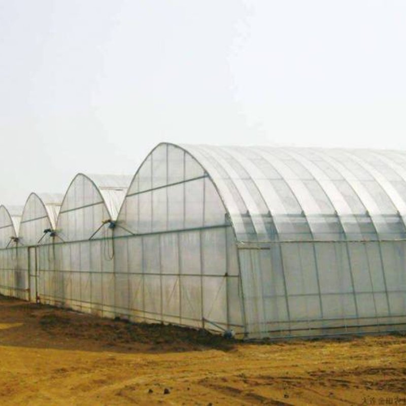 Large Size Hydroponic System Agricultural Multi-Span Greenhouse for Planing Growth