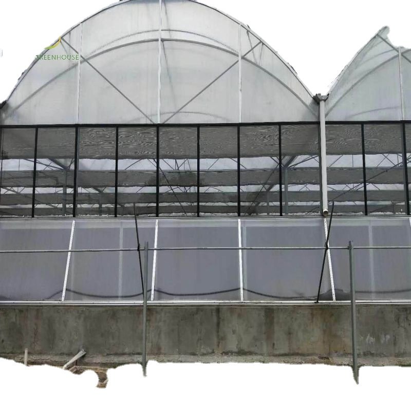 Large Size Hydroponic System Agricultural Multi-Span Greenhouse for Planing Growth