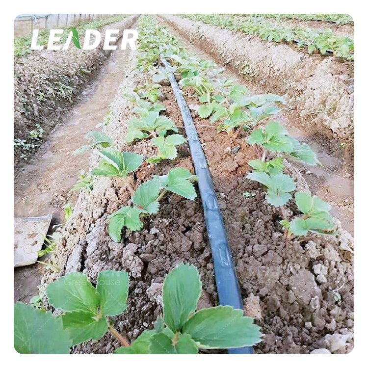 UV resistance outdoor farm land agricultural greenhouse irrigation systems 16mm 0.8mm double line drip tape with dripper