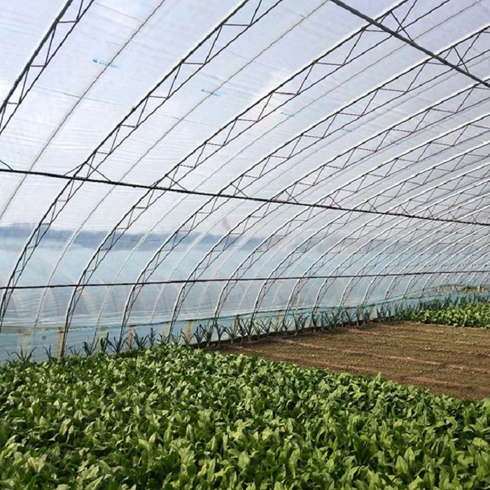 Clear Plastic Shed greenhouse covering plastic protection film greenhouse used for agricultural Greenhouse film