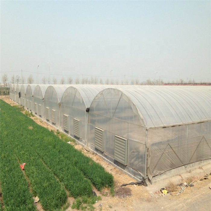 Clear Plastic Shed greenhouse covering plastic protection film greenhouse used for agricultural Greenhouse film