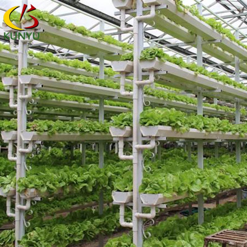 Vertical Farming Systems For agriculture Hydroponic System