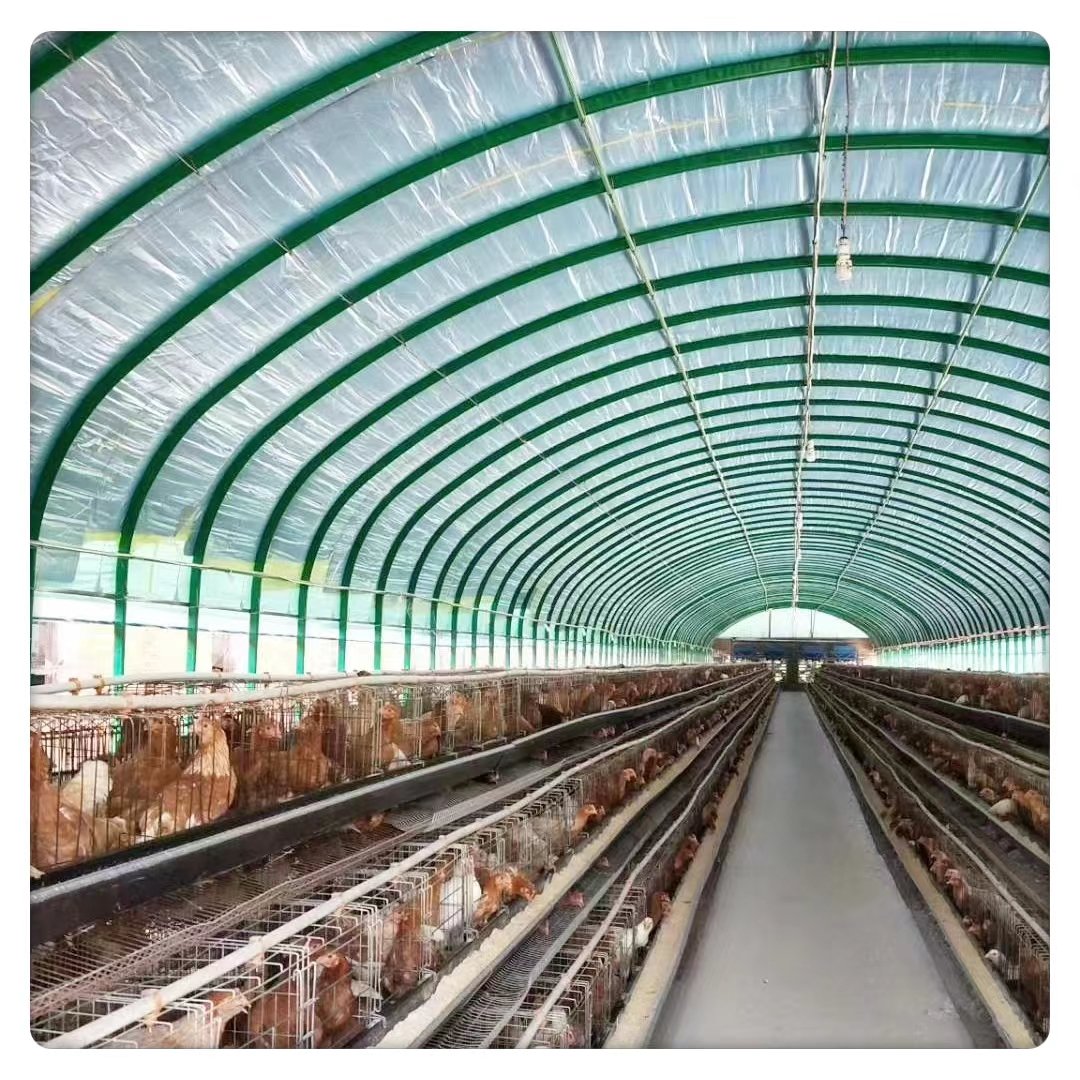 Large Scale Multi-Functional Commercial Greenhouse Farm Animal Plant Breeding poultry houses Single Layer Steel Film Agriculture