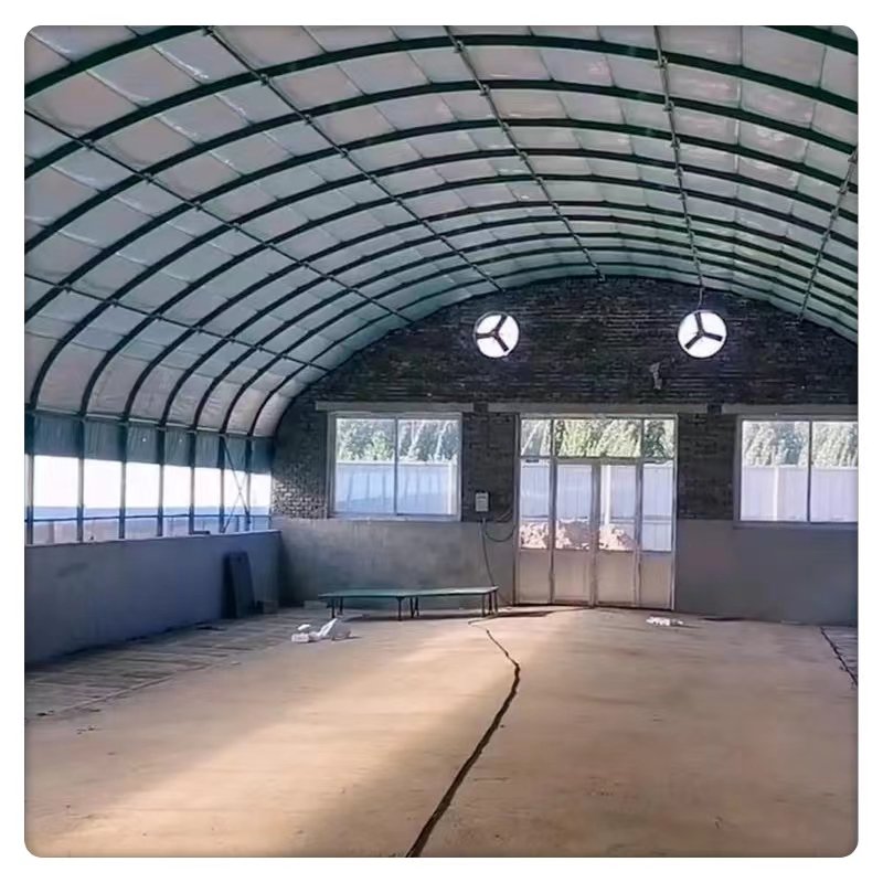 Large Scale Multi-Functional Commercial Greenhouse Farm Animal Plant Breeding poultry houses Single Layer Steel Film Agriculture